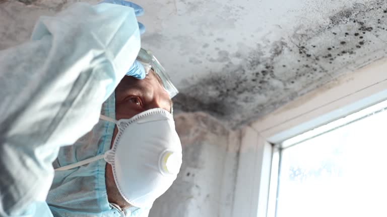 Canadian, TX Mold Removal Company